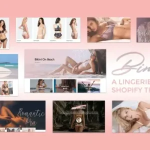 Binim – Lingerie & Bikini Responsive Shopify
